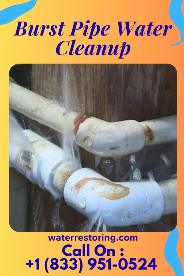 Burst Pipe Water Cleanup in Seven Fields, PA