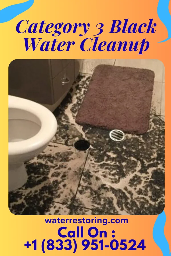 Category 3 Black Water Cleanup in Seven Fields, PA
