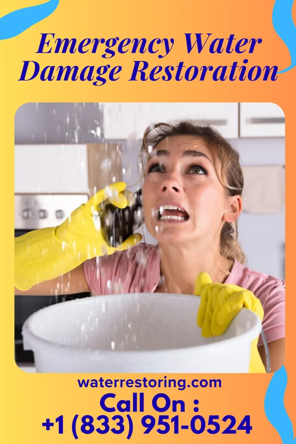 Emergency Water Damage Restoration in Seven Fields, PA