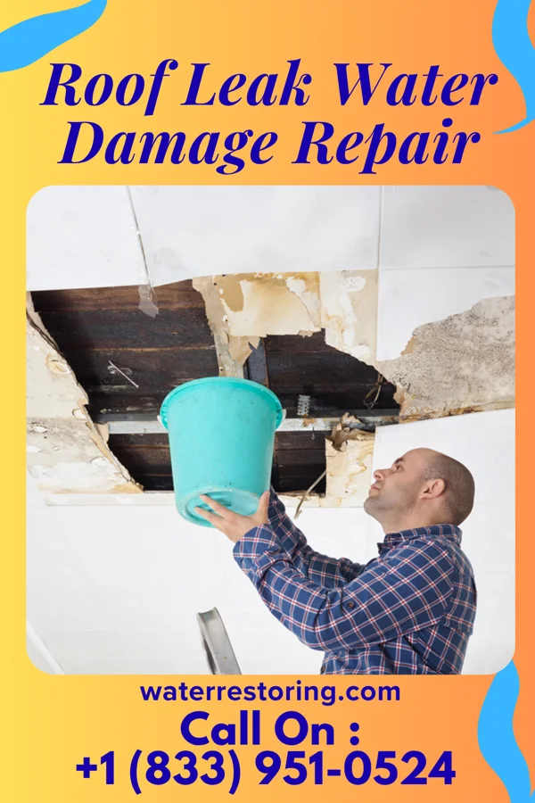 Roof Leak Water Damage Repair in Seven Fields, PA