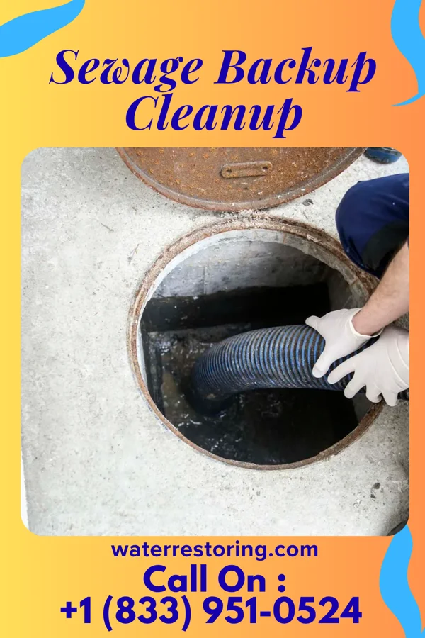 Sewage Backup Cleanup in Seven Fields, PA