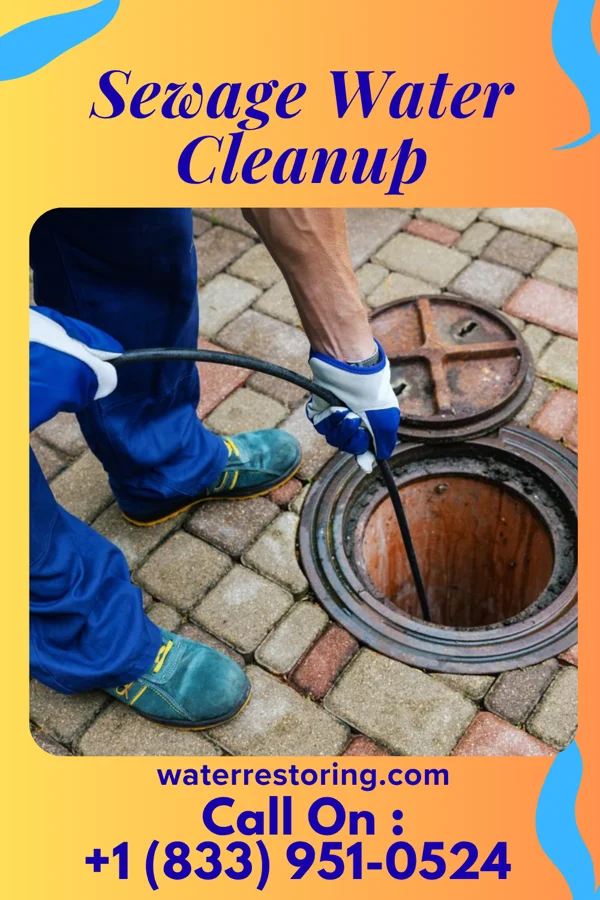 Sewage Water Cleanup in Seven Fields, PA