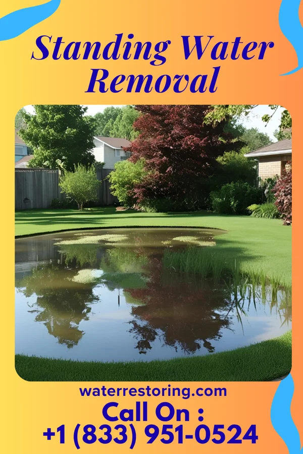 Standing Water Removal in Seven Fields, PA